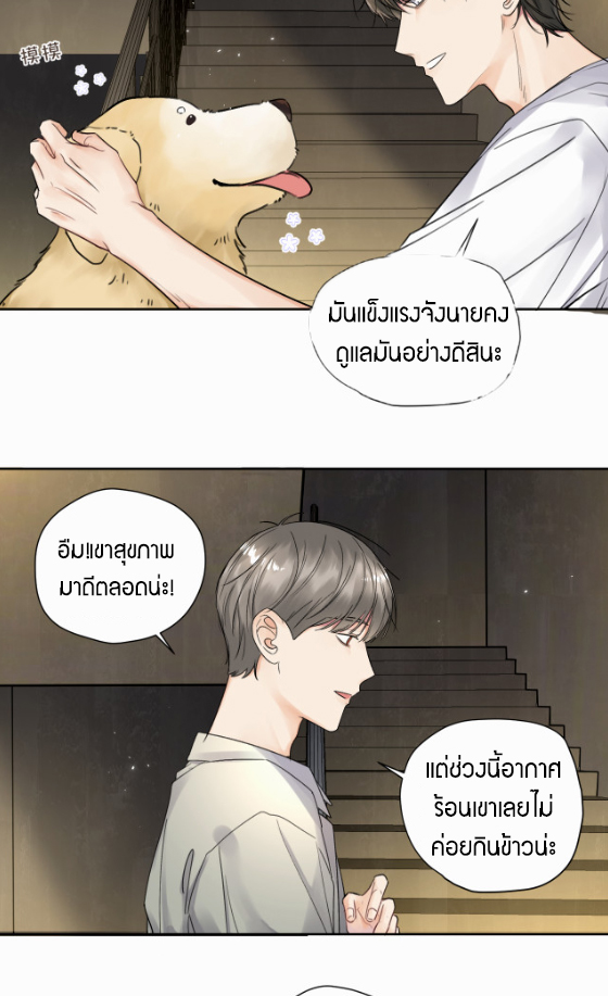 เนเธ–เนเธเธฒเธ 6 25